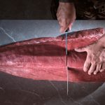 pescados parecidos atún