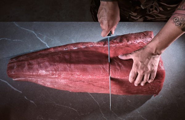 pescados parecidos atún