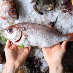 pescados parecidos al besugo