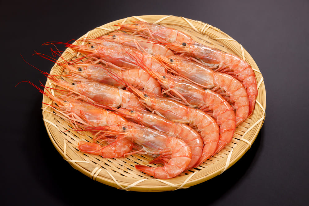 características de los gambones