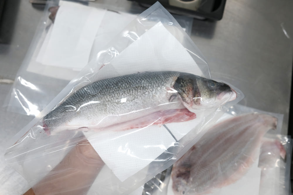 conservar pescado fresco