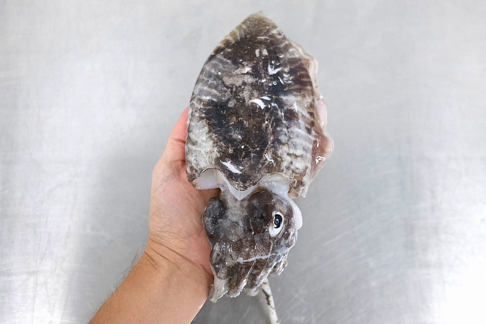 cómo congelar marisco