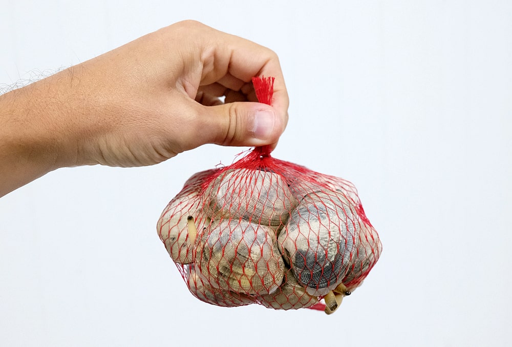 almeja fina de carril