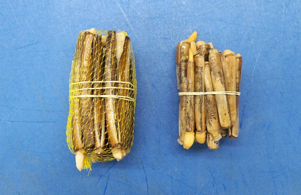 diferencias navaja longuerón