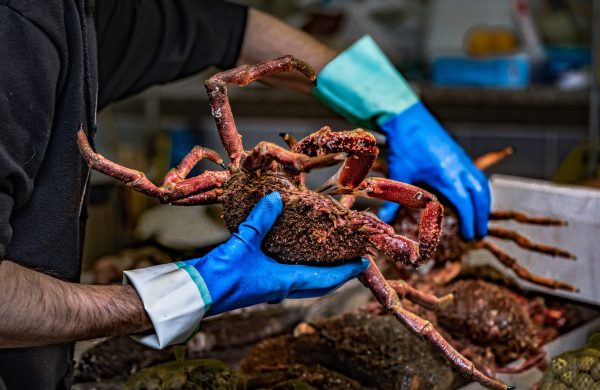 mejor marisco gallego