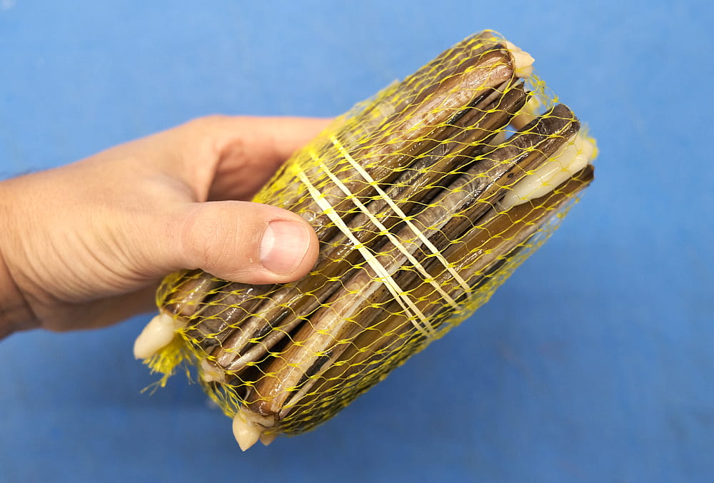 Navaja de origen gallego