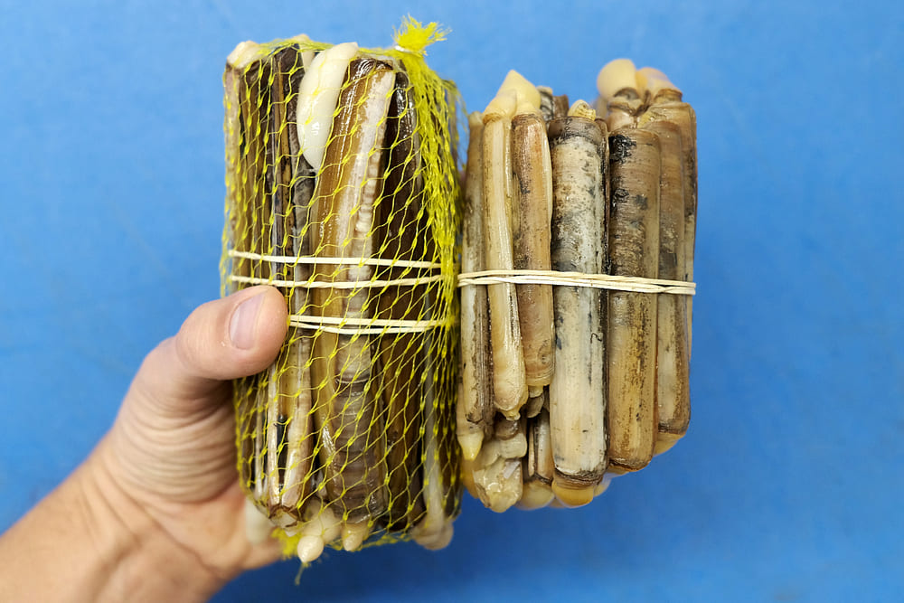 navaja vs longuerón