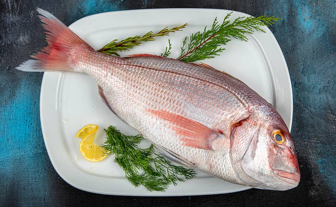 pescado pargo