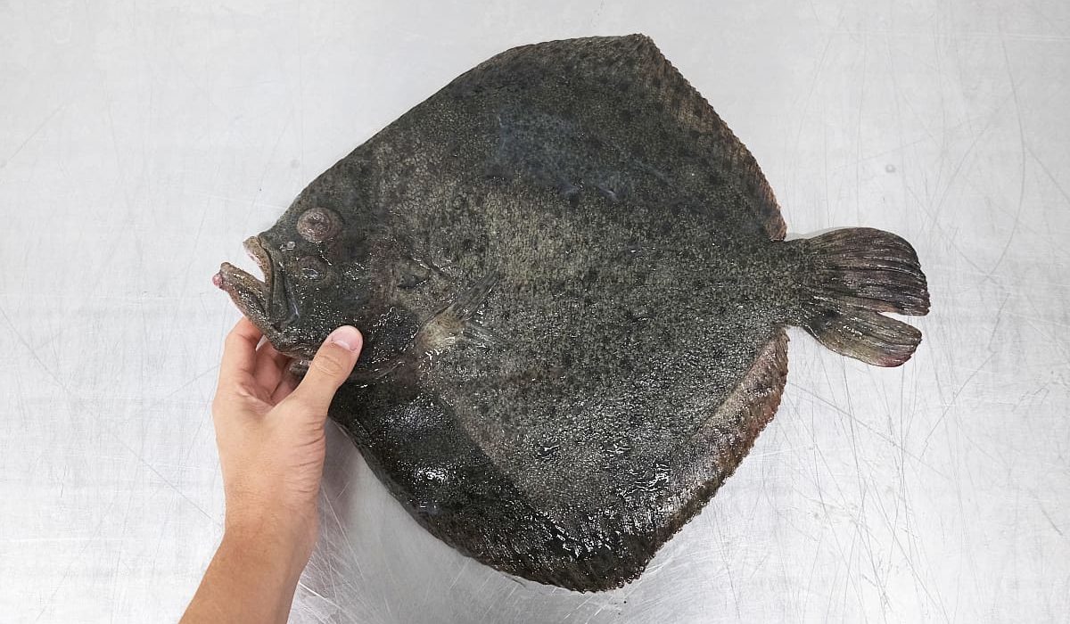 pescados con menos potasio