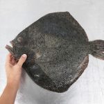 pescados con menos potasio