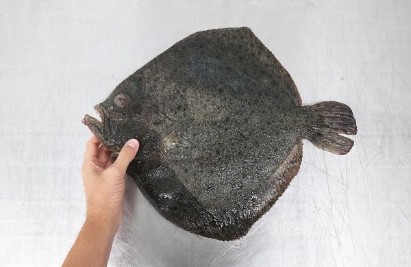 pescados con menos potasio