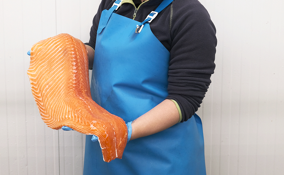 salmón pescado más omega-3