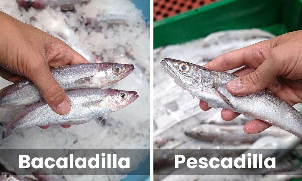 bacaladilla vs pescadilla