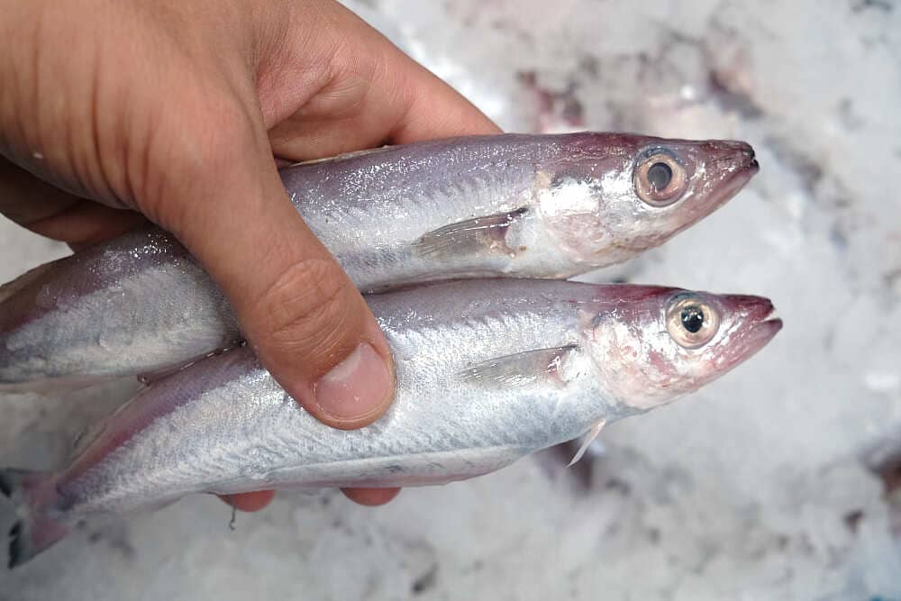 pescado sano y barato