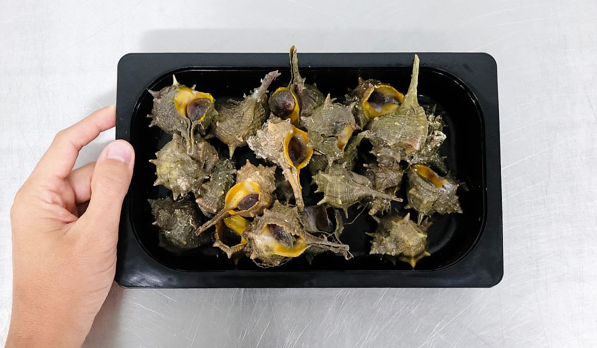 cómo cocer cañaíllas