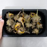 cómo cocer cañaíllas