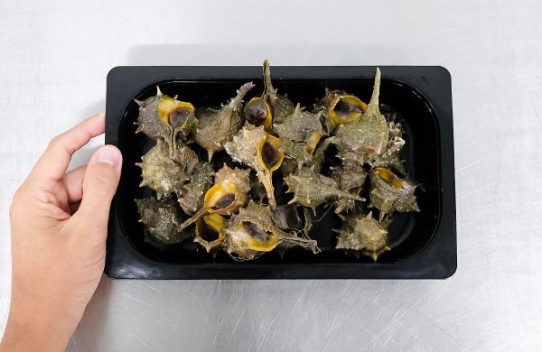 cómo cocer cañaíllas