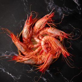 comprar gamba roja alistada