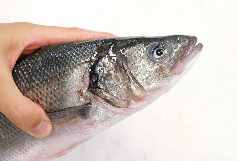 pescado bueno bonito barato