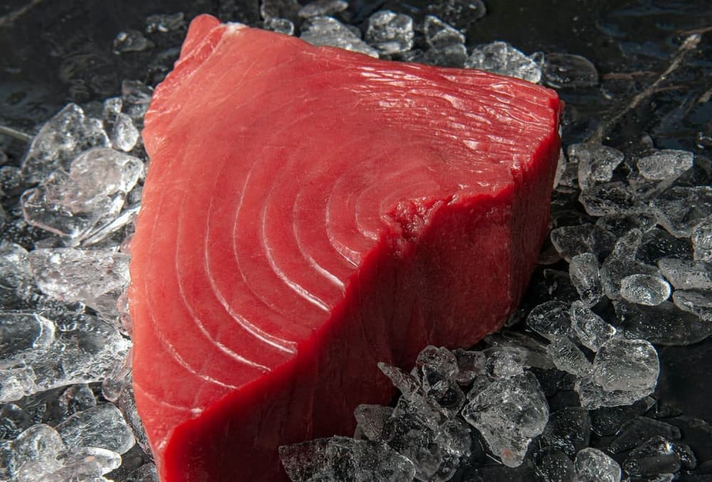 pescados azules más sabrosos