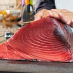 temporada atún rojo