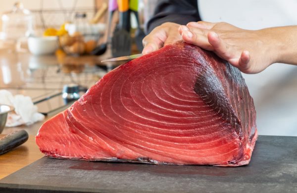 temporada atún rojo