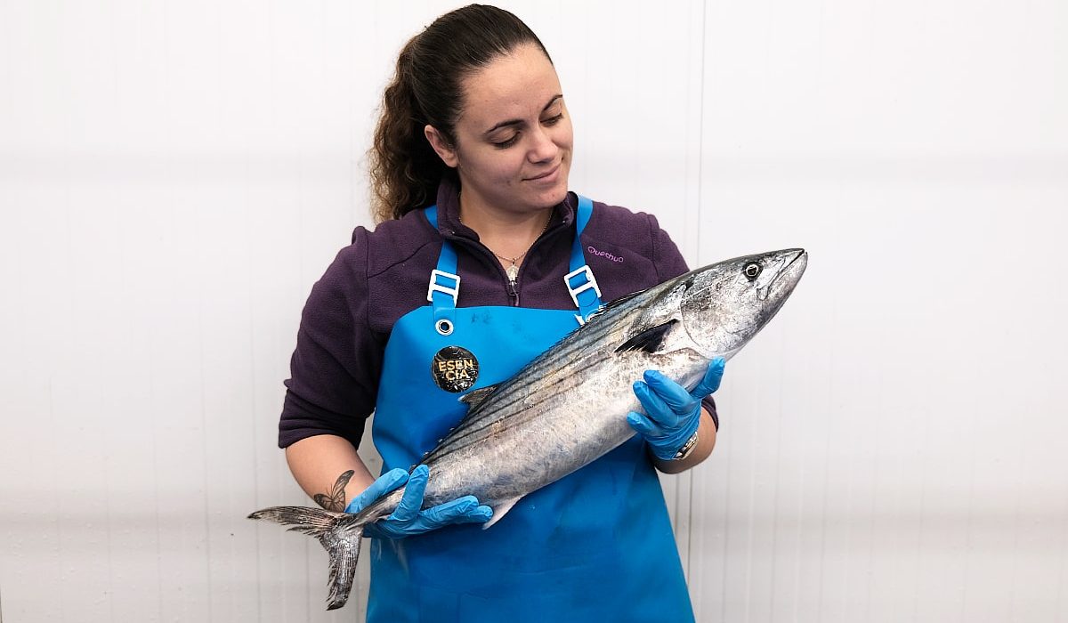 temporada del bonito