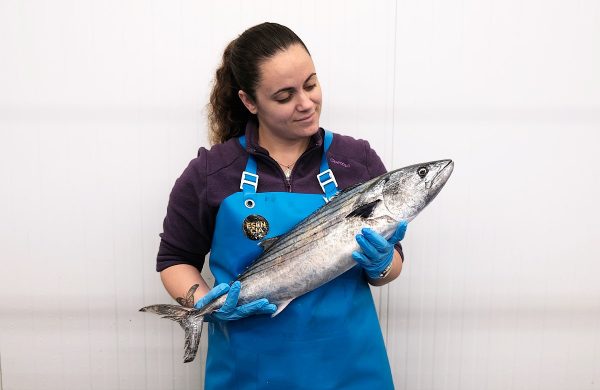 temporada del bonito