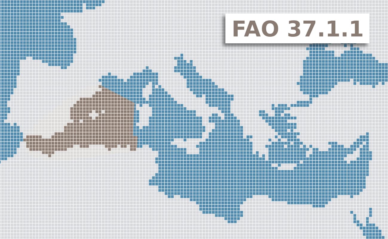 zona pesca bonito común