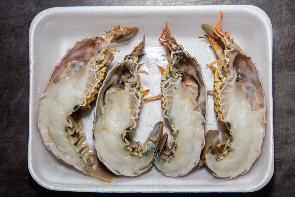 cocinar cigarra de mar