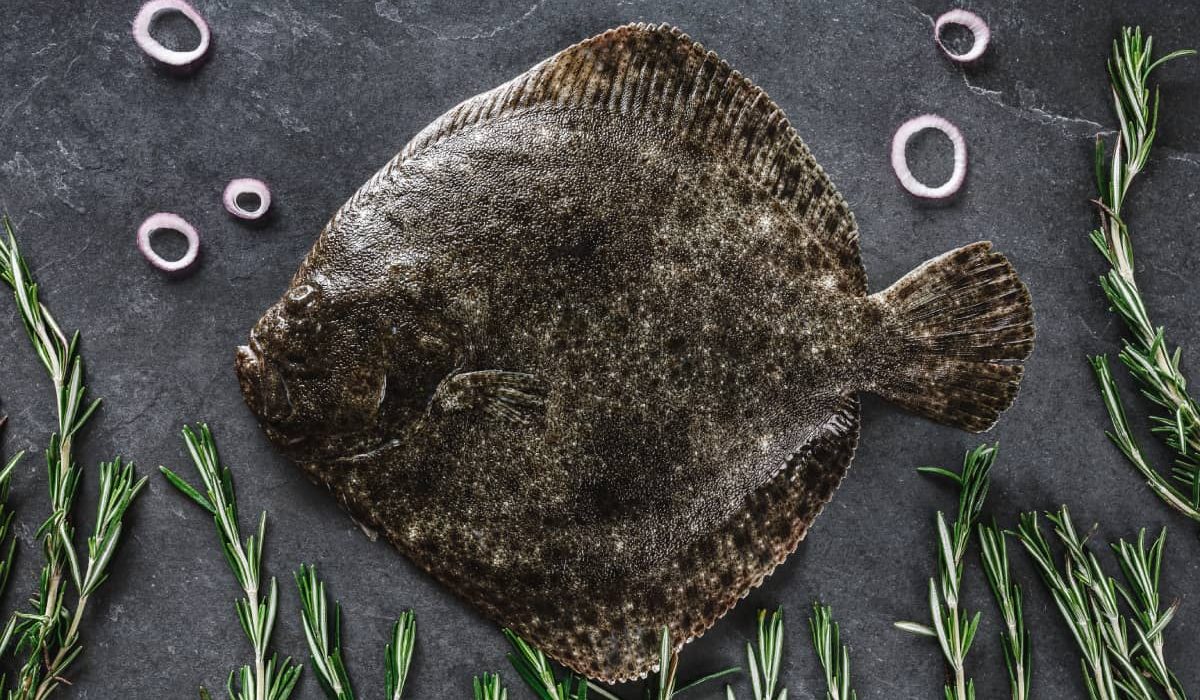 mejores pescados planos