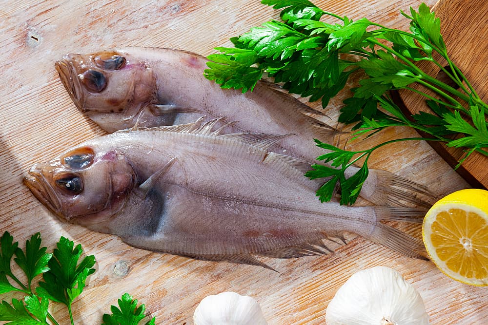 pescados planos gallos